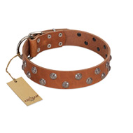 "Waltz of the Flowers" Handmade FDT Artisan Tan Leather Riesenschnauzer Collar with Chrome-plated Engraved Studs