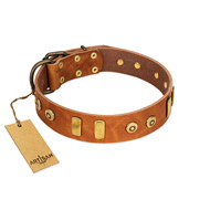 "Egyptian Script" FDT Artisan Tan Leather Riesenschnauzer Collar with Plates and Small Studs