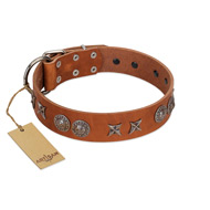 "Splendid Armor" Premium Quality FDT Artisan Tan Designer Riesenschnauzer Collar with Shields and Stars