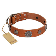 "Foxy Nature" FDT Artisan Tan Leather Riesenschnauzer Collar with Chrome Plated Brooches