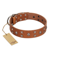 "Enchanted Skulls" FDT Artisan Tan Leather Riesenschnauzer Collar with Chrome Plated Skulls