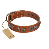 "Luxurious Life" Premium Quality FDT Artisan Tan Leather Riesenschnauzer Collar with Round Adornments