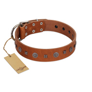 "Sweet Caramel" Designer FDT Artisan Tan Leather Riesenschnauzer Collar