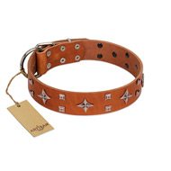 "Tawny Beauty" FDT Artisan Tan Leather Riesenschnauzer Collar Adorned with Stars and Tiny Squares
