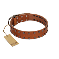 "Star Light" Stylish FDT Artisan Tan Leather Riesenschnauzer Collar with Silver-Like Studs