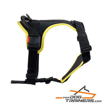 Walking-Nylon-Dog-Harness-with-Easy-Quick-Release-Buckle